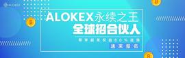 2021年ALOKEX永续合约概要_FUN:hotcoinglobal交易所叫什么名字