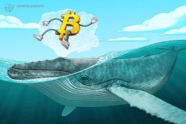 数据显示：自圣诞节以来  比特币鲸鱼的购买力度加大_ECOIN:COIN