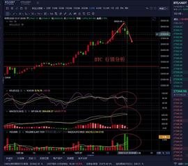 老曹论币  12.27  BTC  晚间行情分析_300:狗狗币能涨到300美元吗