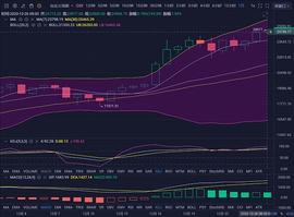 珊珊说币：比特币圣诞创新高 后市是否回调？_BTC:520币是多少人民币