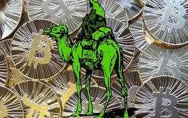 邺峰论币：比特币行情再度迎来千点反弹之势_BTC:比特币价格实时行情财富