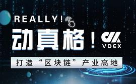 投资VC,成为投资组合中的价值储存手段_数字资产:DerivaDEX