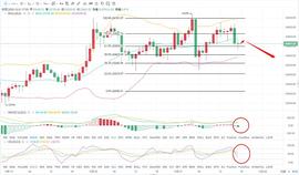 艾华论币：12.21行情瞬息万变 今天我们的目标多还是_XRP:ALGOBEAR价格