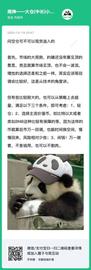 币姥爷：有点超级牛市内味了_AGT:DEFI
