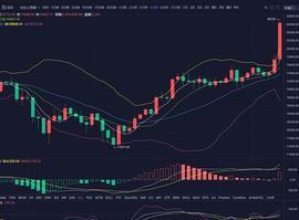 弘涛说币：BTC创造历史新高——晚间如何操作_BTC:MAC