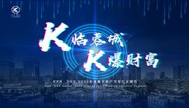 K临蓉城·K爆财富  KKR 2020年度数字资产交易行业峰会圆满成功_数字资产:LEE