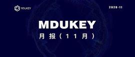 MDUKEY月报（11月）_BTC:YFFII