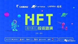 NFT国内首次投资路演：衷于NFT 大于NFT_FIN:ANN
