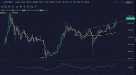 管交所BGOEX研报：以太坊2.0于12月1日开启信标链_ETH:SHIBGOTCHI
