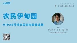 农民伊甸园，Midas带领农民走向致富道路_MIDAS:DEF