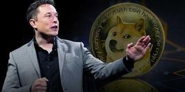马斯克否认炒币！骂狗狗币投资者「赔钱想揩油」要求驳回集体诉讼_马斯克:PIR