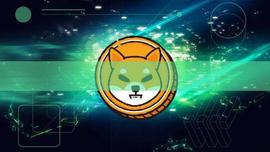 SHIB周末上涨的原因可能是什么_OIN:Shibacock