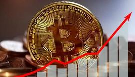 分析师：预计 2024 年比特币减半后将迎来山寨币季节_比特币:secret币币交易