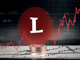 莱特币：减半临近时 LTC 持有状况一览_加密货币:比特币行情走势图最新消息