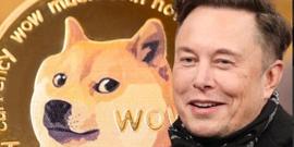 马斯克声援币圈开战美国？暗吁加密社群团结、释放战争之狗狗币_DOGE:马斯克
