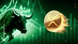 崛起社区：瑞波币（XRP）的交易量大幅飙升，看涨势头强劲！_PPL:PLE