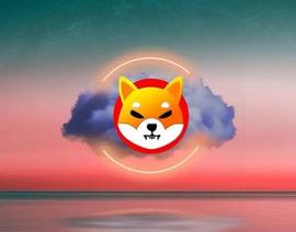 Shiba上涨3%，美国债务上限协议或让SHIB暴涨至1美元？_SHI:AIN