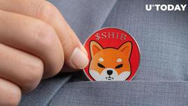 SHIB 价格触及转折点，数万亿柴犬代币抢购一空_SHI:ShibarmyZilla