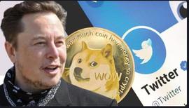 埃隆·马斯克 (Elon Musk) 将在 Twitter X 中启用狗狗币支付？_DOGE:狗狗币亏惨了