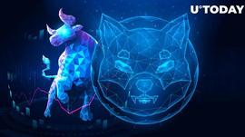 100万亿SHIB洒在公牛身上：柴犬涨势会继续吗？_SHI:SHIBA