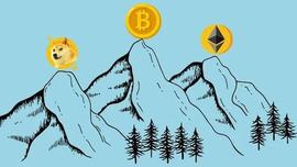 脱水观点：山寨币轮动结束 资金归巢_AIN:iNFTspace