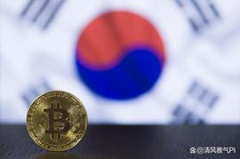 保护投资者，韩国批准首个独立数字资产法案_NET:StepInu