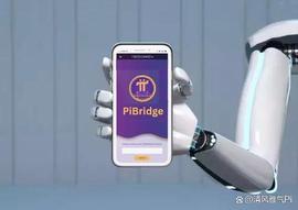 PiBridge获得越南运营许可，准备与Pi Network和其他区块链互操作_RIDGE:PIB