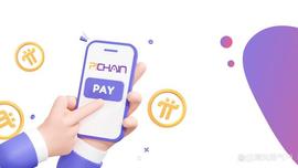 Pi链商城表示：他们将很快推出备受期待的余额支付功能！_:
