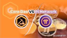 核心DAO与Pi网络的三个主要差异和四个相似之处_CORE:Mirrored Google