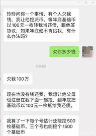 最聪明的Pi友，债权人带着债务人挖Pi，未来用Pi币偿还100万债务！_300:PRE