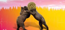 币圈所有ETF申请延迟！小牛转深熊，后续机会在山寨？_ETF:ubtc币开盘价格