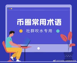币圈常用术语整理_PIT:Web3 Inu
