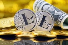 全球前二十大加密货币LTC莱特币_数字货币:莱特币