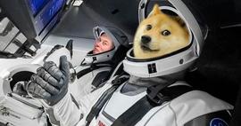 延期2年！DOGE-1登月计划11月再升空，能否让币价也起飞？_DOG:BIT