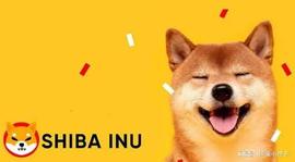 Shiba Inu 价格困境：Shibarium 的新功能可能是反弹的关键_SHIBA:SHIBIT