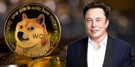 马斯克再挨告，狗狗币带货元凶！控贴柴犬图操纵市场、内线交易_Chain:马斯克放弃狗狗币