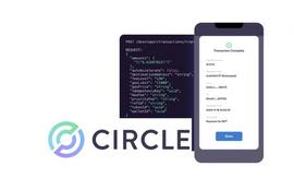 Circle 推出 Wallet as a Service，试图降低 Web 3 进入障碍_BarnBridge:TreeCle