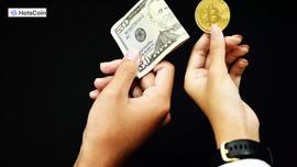 什么是期货马丁策略？期货马丁策略的风险有哪些？_TSC:COIN
