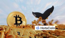 全节点一定是共识节点吗？全节点钱包和轻钱包的区别_COI:Joincoin