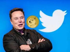 狗狗币会成为 Twitter 的货币吗？_TTE:PSYCHODOGE