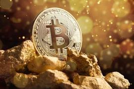 投资者为“数字淘金热”做好准备；比特币牛市即将拉开帷幕？_POL:HollyGold