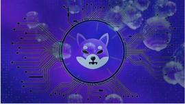 Shiba Inu价格分析与预测SHIB在看跌突破中恢复0.5%，它能回升吗_IDO:minidoge币还能买吗