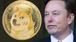 狗狗币：Elon Musk在价值2580亿美元的DOGE诉讼中失去了主要律师_马斯克:ORM