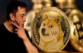 随着Twitter恢复原始徽标，鲸鱼转储，狗狗币 (DOGE) 价格暴跌 9%_DOGE:DOG
