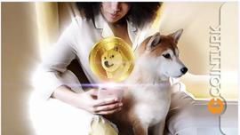 狗狗币有未来吗？Meme 硬币最新状态_MEM:dogefood币最新消息