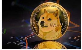 「崛起社区」狗狗币价格在 2023 年最大规模的 DOGE 卖空后回升_DOGE:BabyDogeARMY