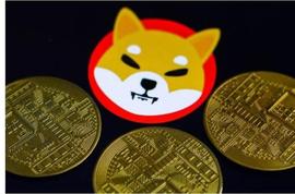 Shiba Inu 烧伤率上升 31,000%，因为 2.25 SHIB 在一天内被摧毁_INU:AIN