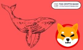 「崛起社区」顶鲸增加 4.15T 柴犬，成为第 27 大 SHIB 持有者_WHALE:WhaleRoom