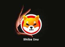 柴犬：从 2022 年 6 月到 2023 年，SHIB 删除了多少个零？_SHIBA:LAZYSHIBA