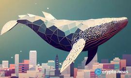 鲸鱼通过 BTC、ETH、SHIB、SOL 的巨额交易掀起波澜_AIN:solana币发行价格